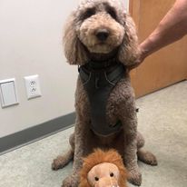 Elizabethton Veterinary Clinic