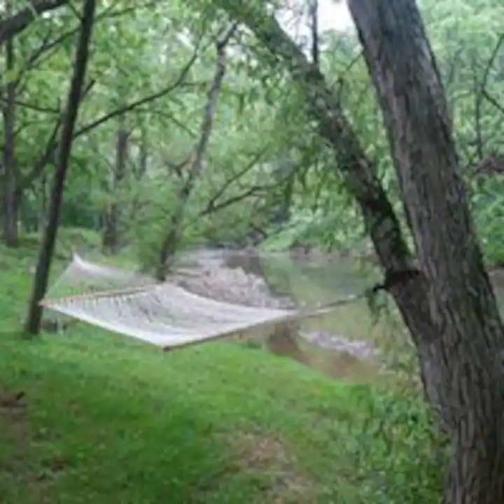 Entire cabin in Butler, Tennessee