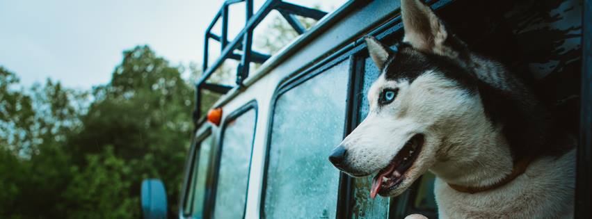 Pinecrest Veterinary Clinic